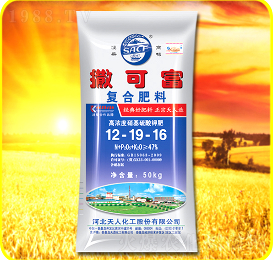 �ͺϷ���12-19-16-���ɸ�-���˻���