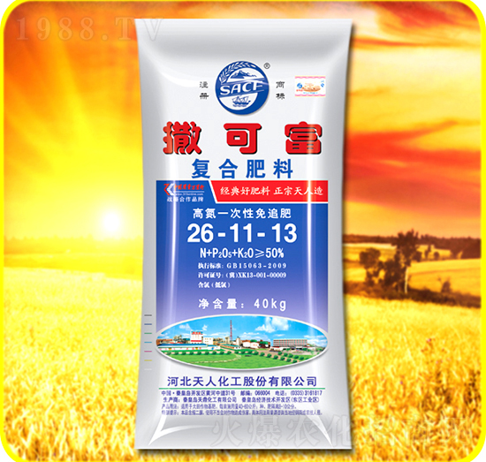 �ͺϷ���26-11-13-���ɸ�-���˻���