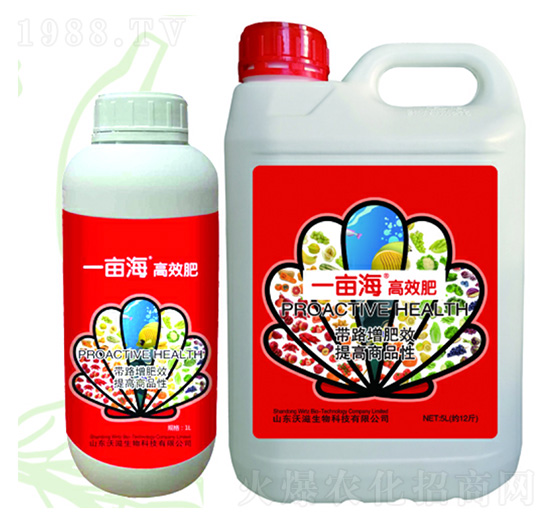 һ������Ч��-��������