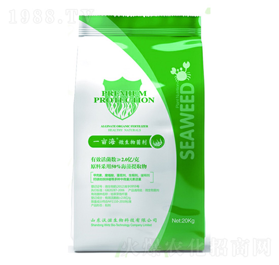 һ����΢�������-��������