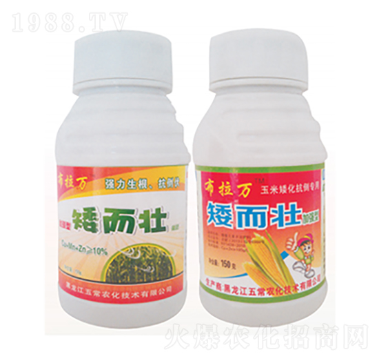 ������-�����f(w��n)-�峣