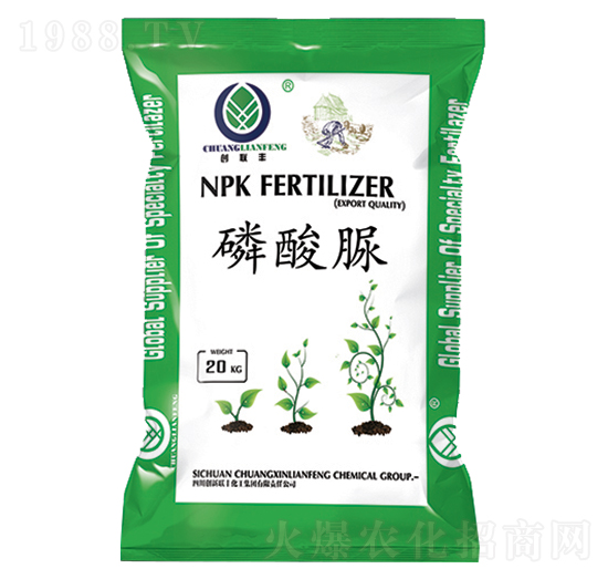 �����壨UP��-��(chu��ng)��(li��n)�S