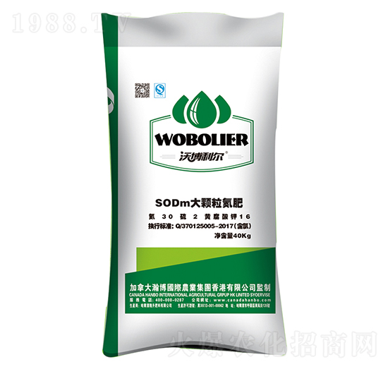 ���w������-¡������