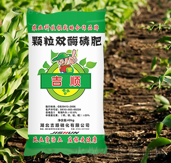 �w���p���׷�-���