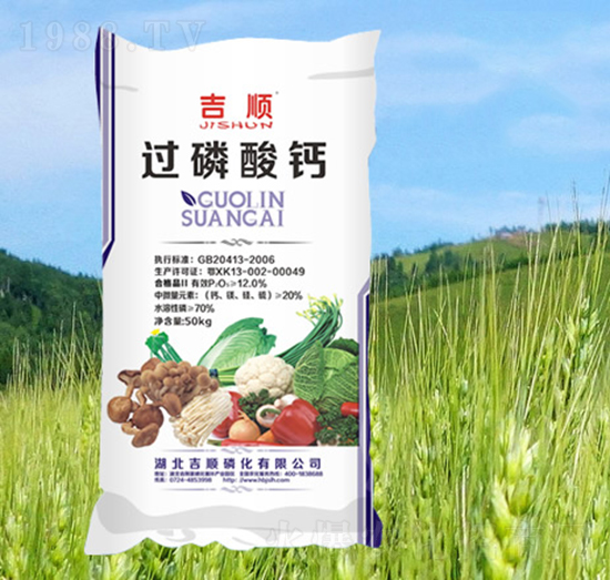 �^(gu��)�����}��50kg��-���