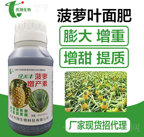 ���}���a(ch��n)��-��������