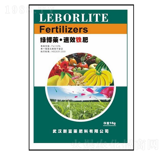 �G���R���F��-��G�Ƽ�