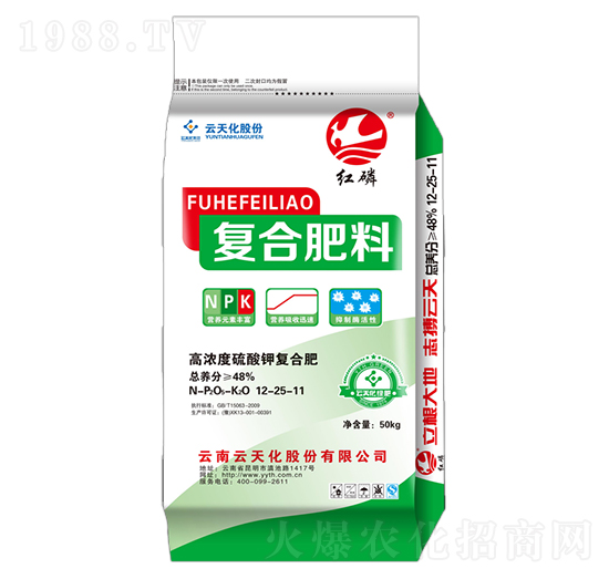 ������͏ͺϷ�12-25-11-�t��-���o����