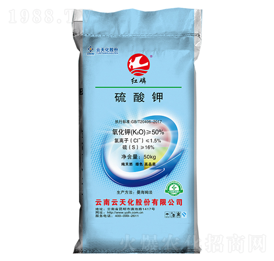 50%�����-�t��-���o����