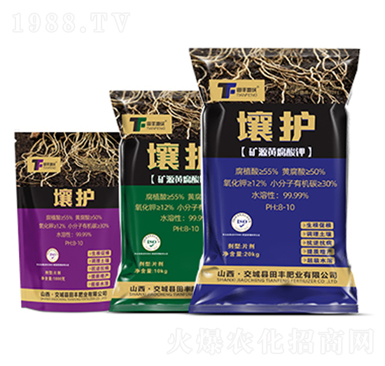 ���o(h��)-���S����-���S����