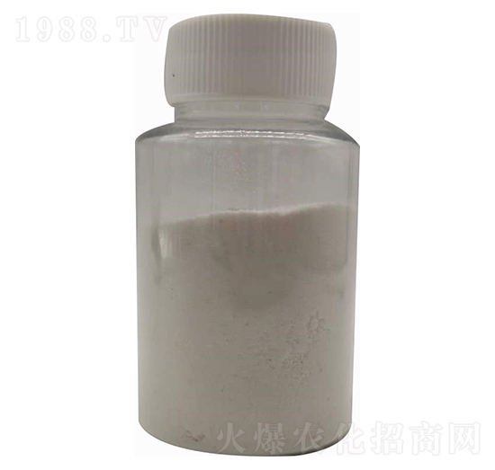 ���������-����(r��n)�Ƽ�