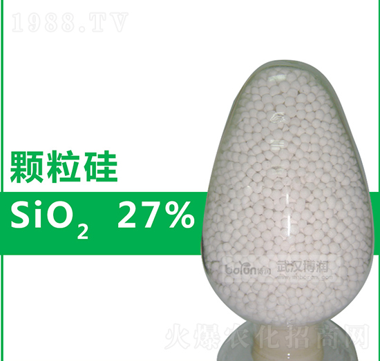 27%�w����-����(r��n)�Ƽ�