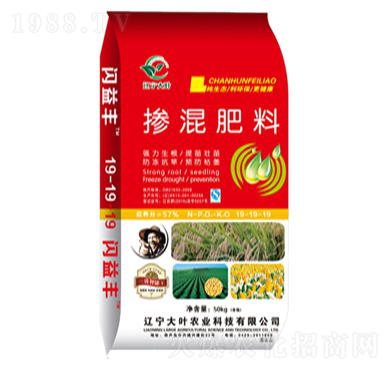 �������19-19-19-�W���S-���~�r�I(y��)