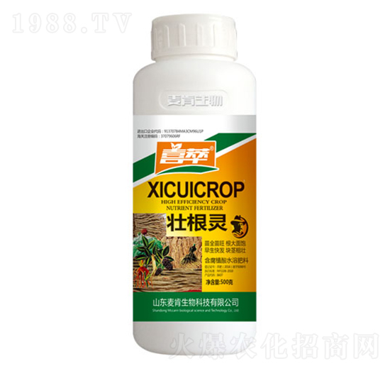 �Ѹ��`-��������