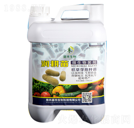 ������ݲ�ѿ�ߗU��-��������