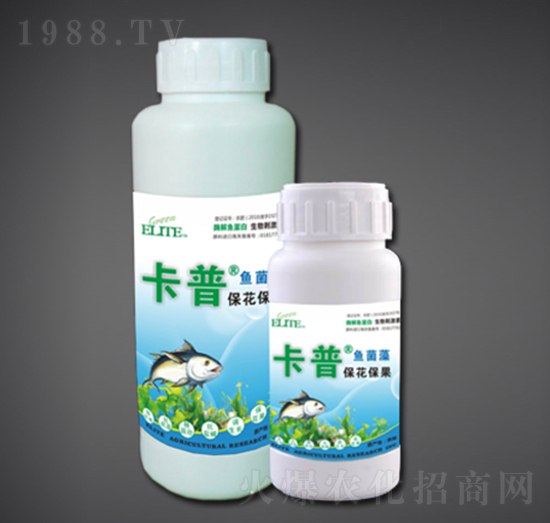 ����������ø���~����-�G�����