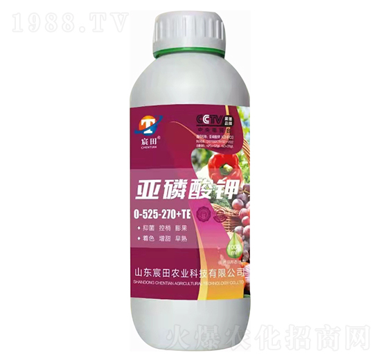 �������0-525-270+TE-����r(n��ng)�I(y��)