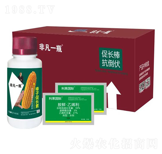 ���Ӵ��L(zh��ng)��-�Ƿ�һƿ-�������H