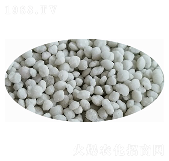 ���@����ɫ���{ɫ��-���S�Ƽ�