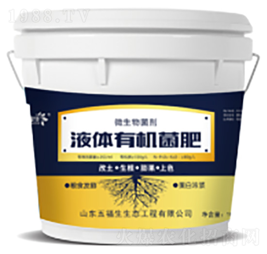 Һ�w�ЙC����-�帣��