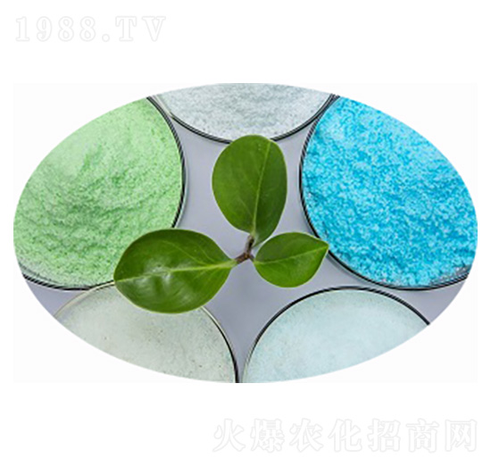 ����⛷���19-19-19+TE-�۸�˼�_