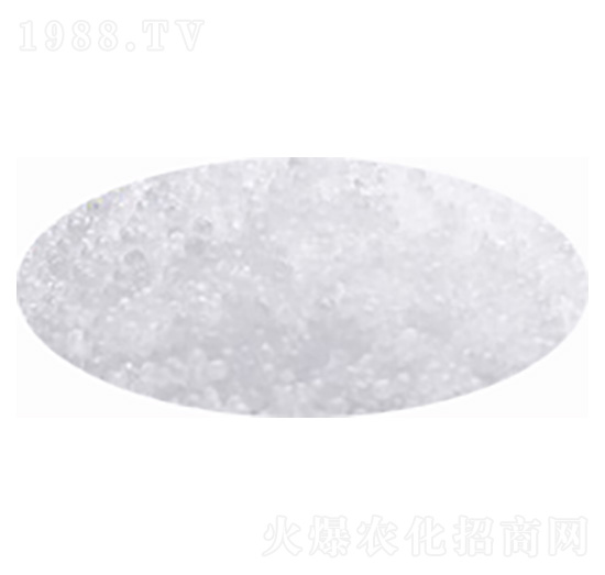 ���أ��w�����w����-�۸�˼�_(d��)