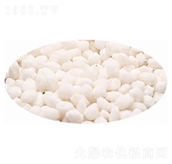 �����@�w��-�۸�˼�_