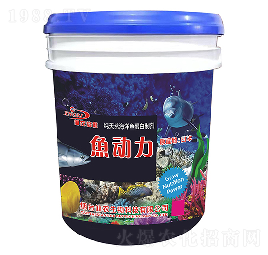 ��Ȼ�����~(y��)�����Ƅ�-�~(y��)��(d��ng)��-���r(n��ng)����