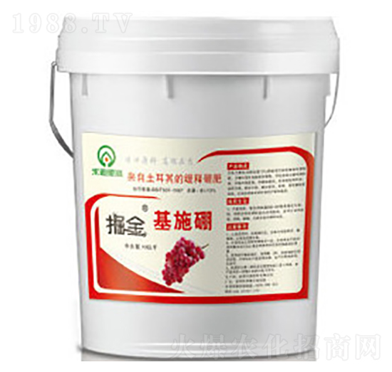 ����ʩ��-�̵�