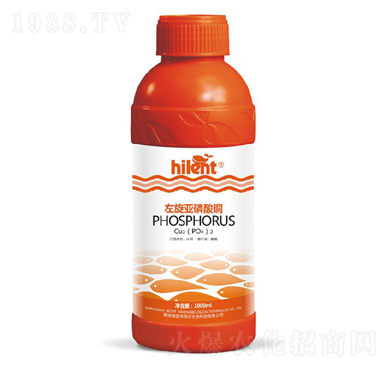 �����������~-���{(l��n)��