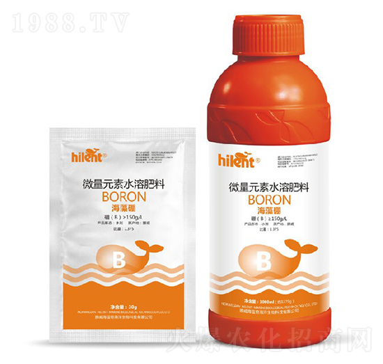 ������M��-���{��