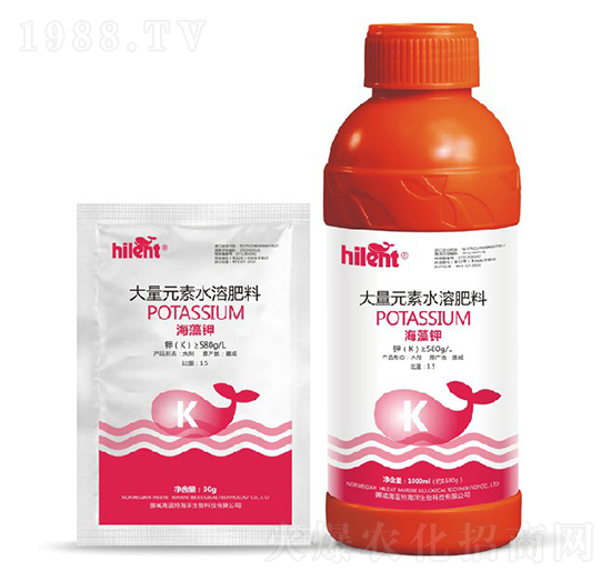 ����⛽M��-���{(l��n)��