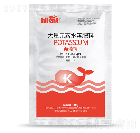 30g�����-���{��