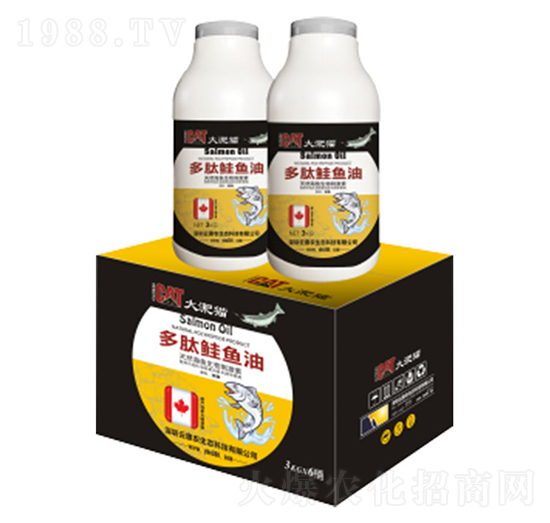 ����؈�����q�~��-�ƻ��r(n��ng)