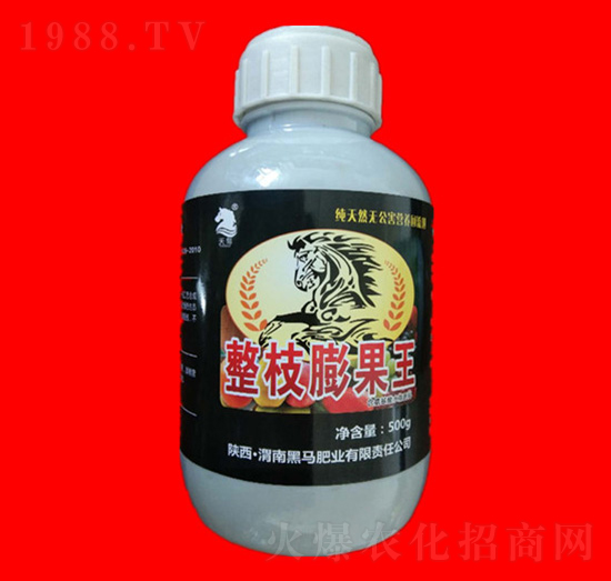 ��֦�����-���ӱ�-���R�ʘI(y��)