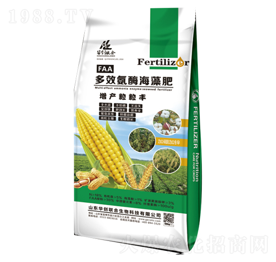 ��Ч��ø�����-���a�����S-�A��(chu��ng)(li��n)��