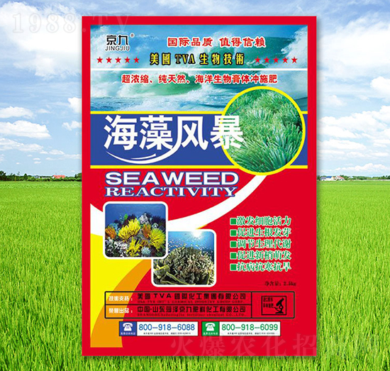 �����L(f��ng)��-����