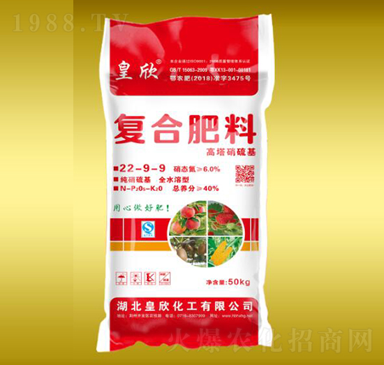 �����������(f��)�Ϸ���22-9-9-����