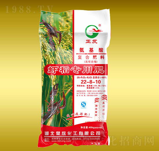 �r�����ÏͺϷ���20-8-10-����