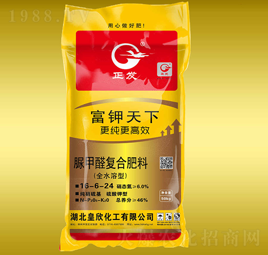 ���ȩ��(f��)�Ϸ���16-6-24-�������-����