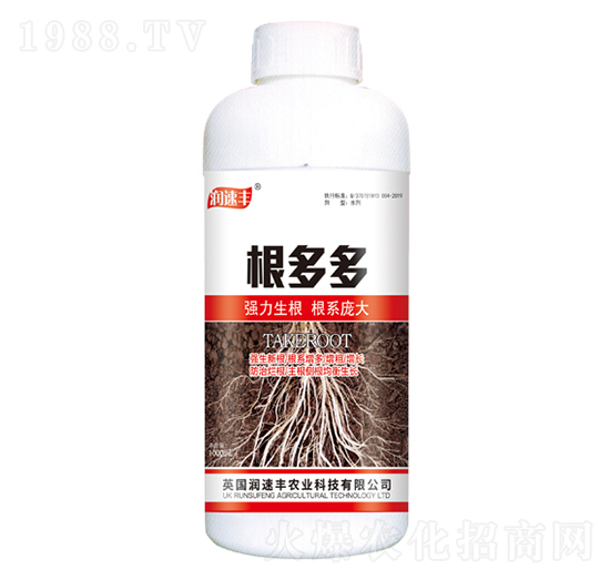 �����-��ï�r�I(y��)