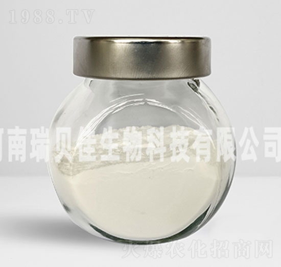 �������V�-��ؐ������