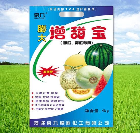 ���ϡ���ό���-���������-����