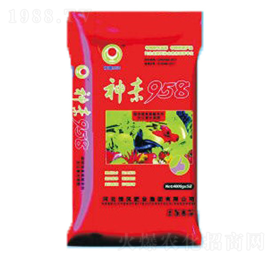 ����958-����Դ�r�I(y��)