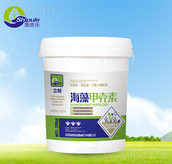 ����ך���-ʩ�՘�