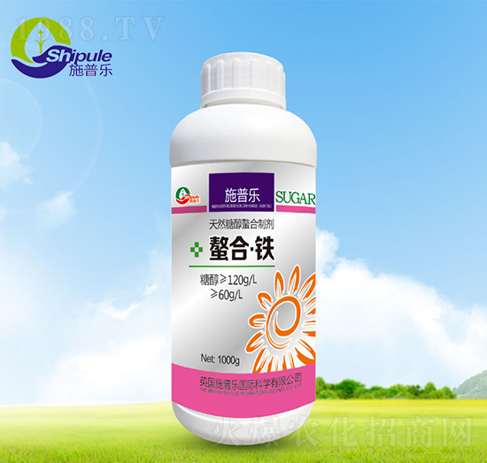 �����F-ʩ�՘�