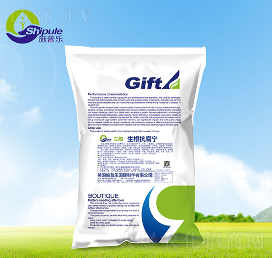 ����������-ʩ�՘�