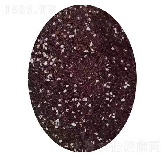 �����ЙC�ʣ��w����-�����r(n��ng)�I(y��)