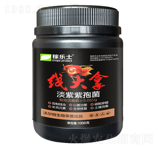 �������߾�-��(xi��n)����-�֠���