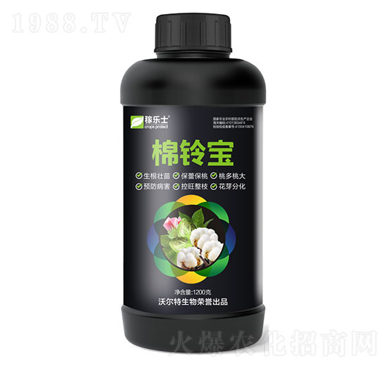 ��⏌�-�֠���